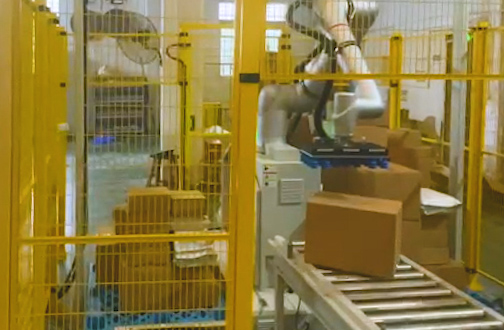 「Case Study」Mixed Depalletizing Made Simple: 7 Carton Types, One 3D Vision Solution 「Case Study」Mixed Depalletizing Made Simple: 7 Carton Types, One 3D Vision Solution